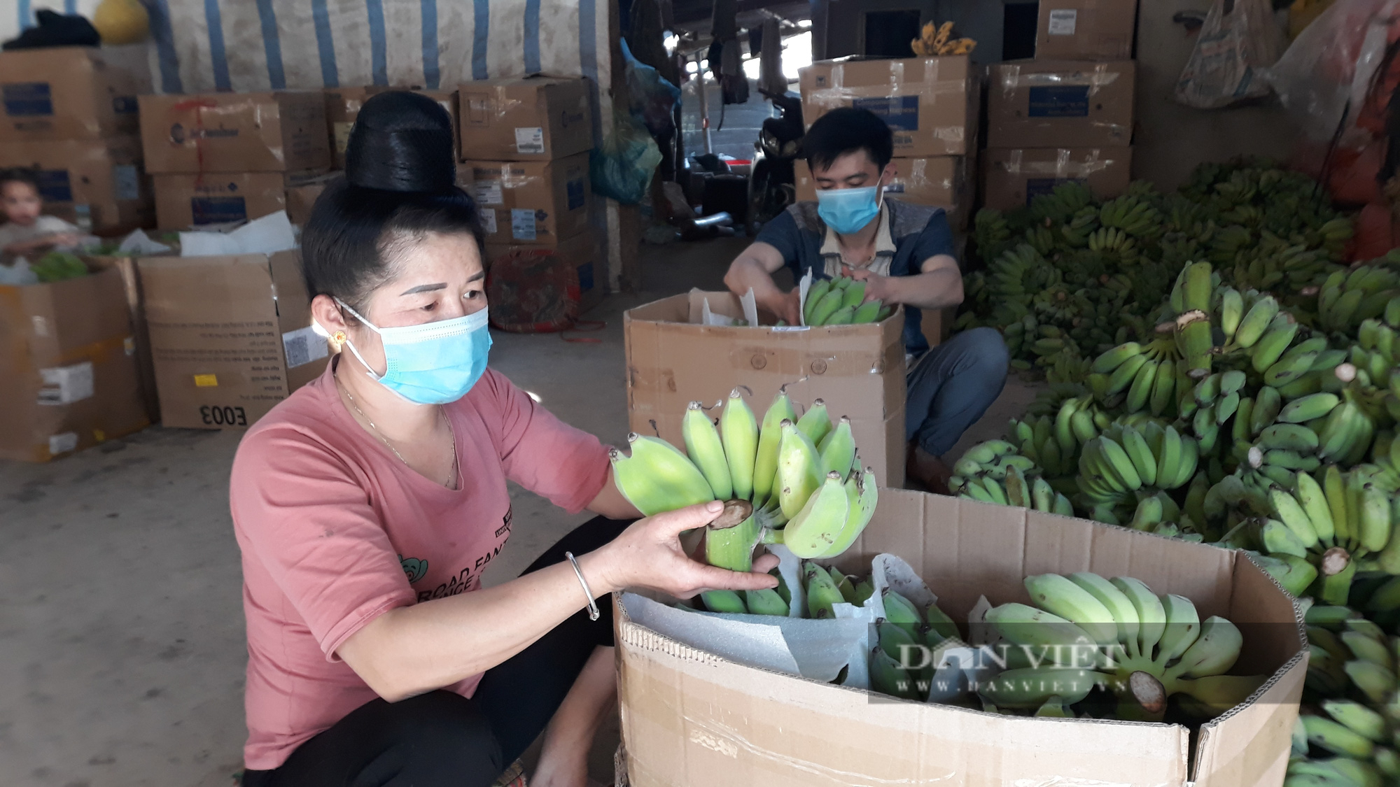 Những trái ngọt ở xã vùng cao Tây Bắc - Ảnh 4. Những trái ngọt ở xã vùng cao Tây Bắc - Ảnh 4.